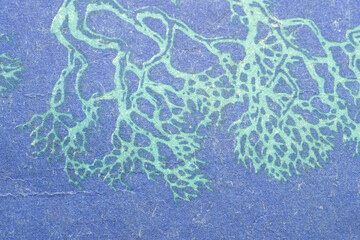 Abstract bright blue green retro background, sea water, nervous system, rivers, neural network organic natural pattern, biology, nature old grunge book cover surface texture backdrop nobody full frame