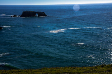 Bodega Bay Romp