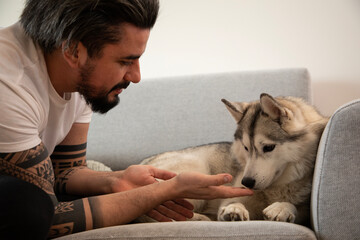 Handsome young man petting a Husky dog on sofa