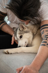 Handsome young man petting a Husky dog on sofa