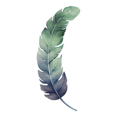 Vintage Feather Leaves Watercolor Clipart