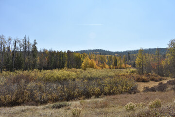 autumn in the rocky mountains