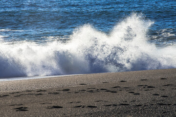 Bodega Bay Romp