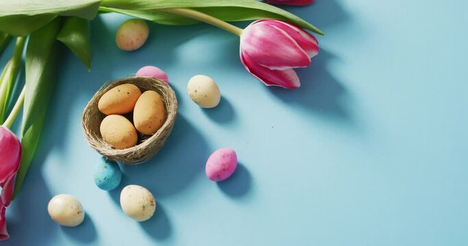Video of decorated colorful easter eggs and flowers on a blue surface