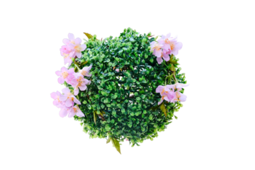 Artificial plant round shape with pink flowers, isolated on a white background