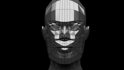 face of a person made in 3d wireframe