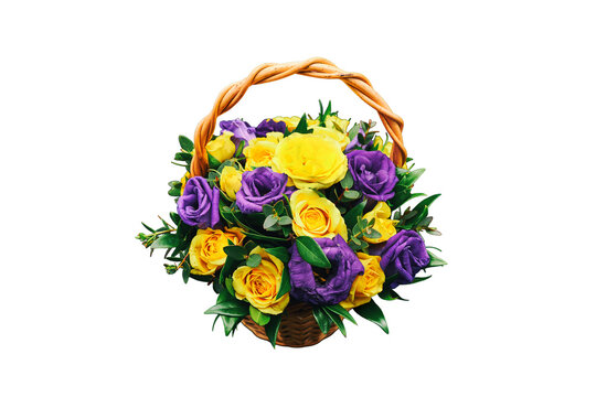 Basket with yellow and blue roses, isolated on a white background. Decorative composition of roses