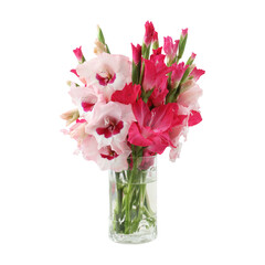 Bouquet of pink gladiolus flowers isolated on transparent background