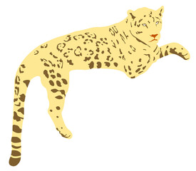 illustration of a feline called jaguar , endangered species, on transparent backgrounds © Daniella
