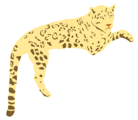 Foto op Plexiglas illustration of a feline called jaguar , endangered species, on transparent backgrounds © Daniella