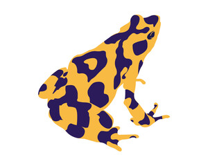 illustration of a amphibian called rana arlequin , endangered species, on transparent backgrounds