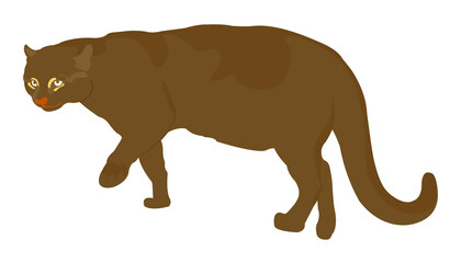 illustration of a feline called yaguarundi , endangered species, on transparent backgrounds