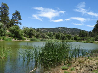 The natural beauty of Jackson Lake, nestled within the San Gabriel Mountains, Angeles National Forest, California.