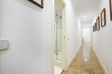 Distributor corridor of a house with shiny oak wood floors, access to a toilet with a shower cabin...