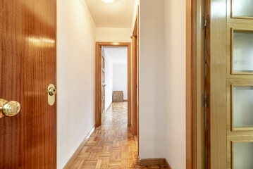 Distributor corridor with armored entrance door with sapele door of a house with gloss oak wood floors, access to other rooms with oak wood doors and mezzanines of the same material - obrazy, fototapety, plakaty