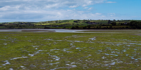 Open seabed after low tide, swamp area. Green hilly landscape. White cumulus clouds, sky. Irish landscape. The coast of Clonakilty Bay, County Cork. European landscape