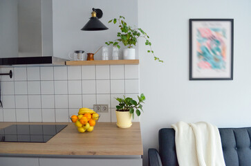 Scandinavian interior style modern studio small apartment in white and grey colors, furniture in living area and kitchen area
