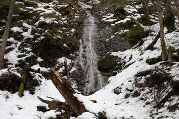 snow covered trees waterfall 