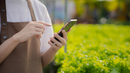 Man owns hydroponic vegetable garden holding a phone, he grows wholesale hydroponic vegetables in restaurants and supermarkets, organic vegetables. The idea of growing hydroponic vegetables.