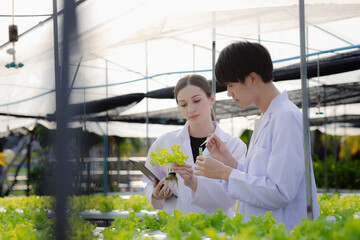 Researchers in hydroponic vegetable gardens are collecting samples to test vegetables grown from...