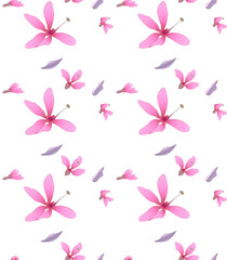 Fototapeta na wymiar Wallpaper of pink delicate watercolor, vector summer, spring seasonal flowers and green leaves on a white background