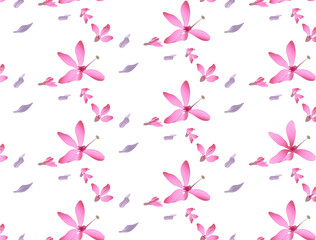Background of pink delicate watercolor, vector summer, spring seasonal flowers and green leaves on a white background