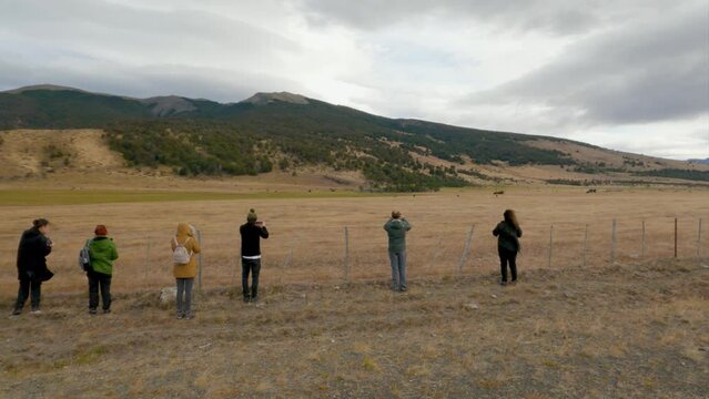 Group of tourists stopped by the fence to photograph condors walking on the field. 