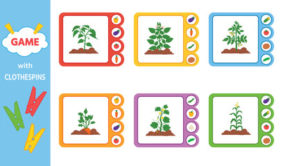 Game for children. Clothespin cards. Garden. Vector illustration. Sheet for printing. The development of logic in preschool children