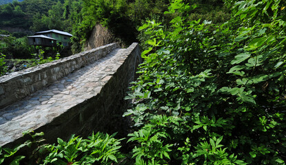 The historical December Bridge, located in Artvin, Turkey, was built in the 18th century.
