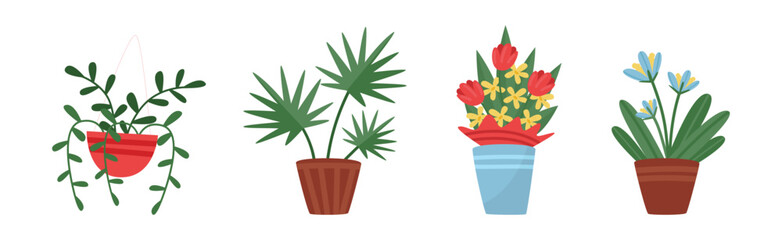 Flower Shop with Different Plant in Pots Vector Set