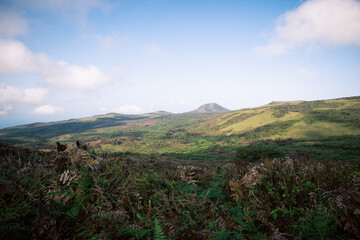 Fototapeta na wymiar San Cristobal Biological Reserve Galapagos island 