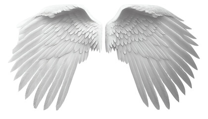 Angel wings isolated on white transparent background