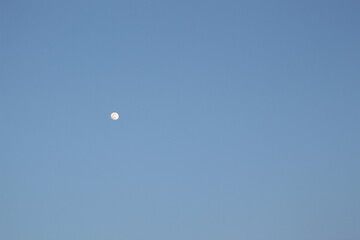 moon in the sky