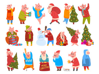 Fototapeta premium Cute pig Christmas character in warm winter clothes celebrating winter holidays set. Merry Christmas and Happy New Year vector illustration