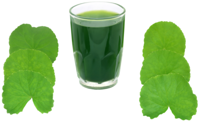 Medicinal thankuni leaves with extract