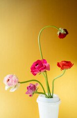 Flowers in coffee cup background