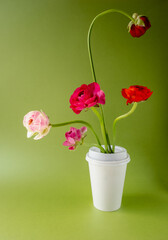 Flowers in coffee cup background