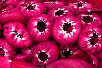 Red rose buds prepared to dried