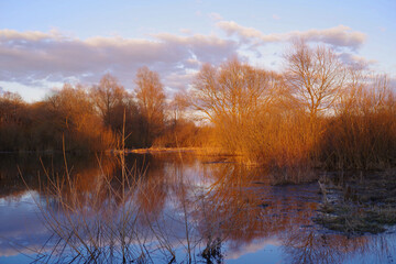 Spring evening landscape on the river. Bare bushes and trees illuminated by the bright setting sun are reflected in the flooded river in early spring.