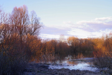 Spring evening landscape on the river. Bare bushes and trees illuminated by the bright setting sun are reflected in the flooded river in early spring.