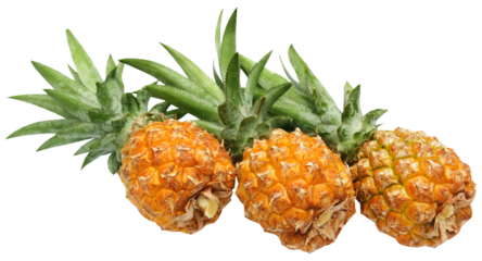 Popular honey queen pineapple of Bangladesh