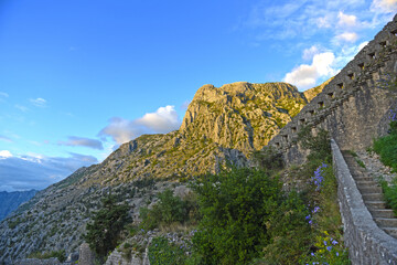 view to the San Giovani Fortress walls above the old adriatic town of Kotor, Montenegro
