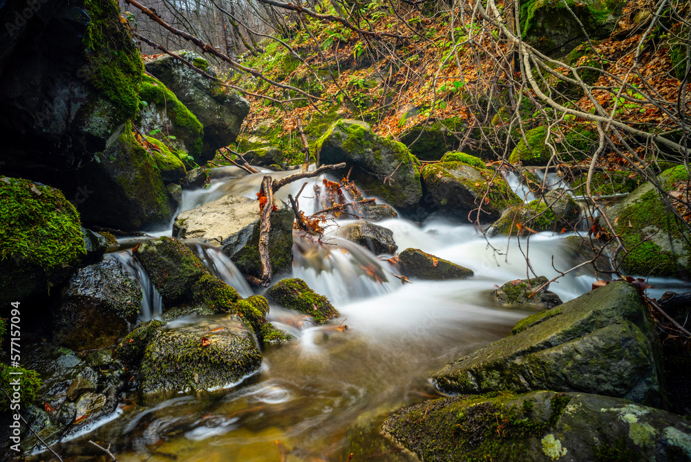 Wall mural waterfall in the forest