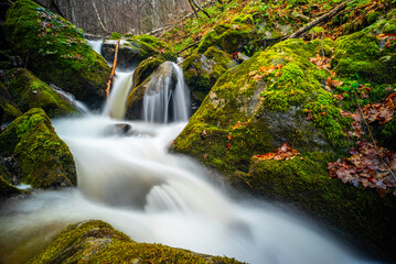 waterfall in the forest