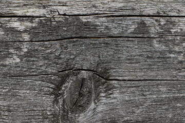 Texture. Background. Gray old wooden surface with cracks. Copy space