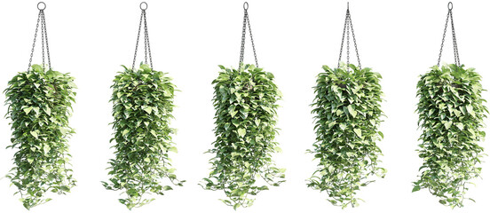 3d rendering of hanging plant in pot, for illustration and visualization - obrazy, fototapety, plakaty