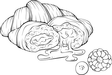 Whole and broken fruit croissants with jam and berries . Vector illustration in hand drawn sketch doodle style. Line art close up croissant cut isolated on white. Still life with bakery for breakfast