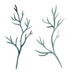 Ocean blue coral. Tropical reef sealife. Watercolor illustration.