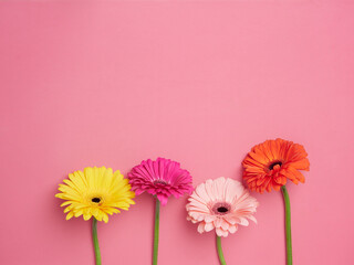 four colored gerbera flowers, yellow, pink, fuchsia and orange with green stems. Top view on pink...