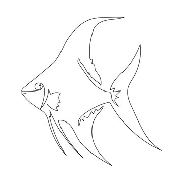 recommend clip art: One line drawing of an angel fish. Vector illustration isolated on a white background